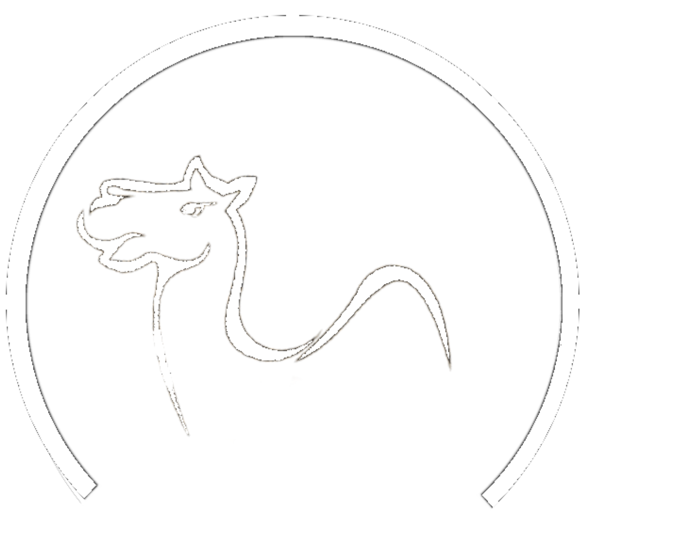 Celia Desert Camp